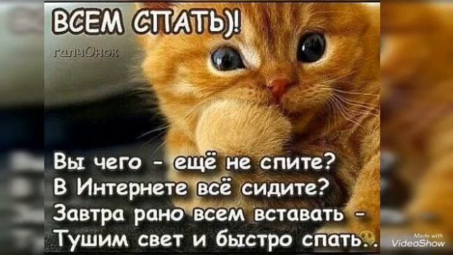 Всем спать. Открытки спокойной ночи завтра на работу. Пора спать завтра на работу. Открытка спать пора прикольная. Спокойной тихой ночи пора спать.