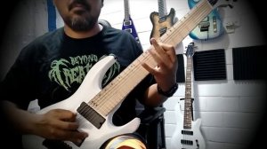 Harley Benton R-458MN WH Fanfret Demo