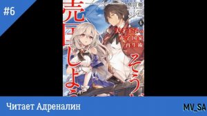 Руководство гениального принца по вызволению страны из долгов том 6