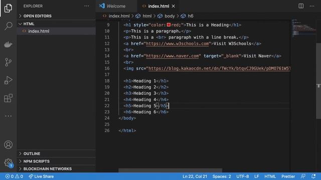 왕초보 HTML - 04.Heading & Paragraph смотреть онлайн