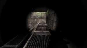 Stalker Anomaly 1.5.0 - ПОИСК ДОКУМЕНТОВ ДЛЯ СТРЕЛКА В X8.