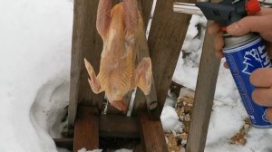 Разделываем тушку курицы мясо-яичной породы.