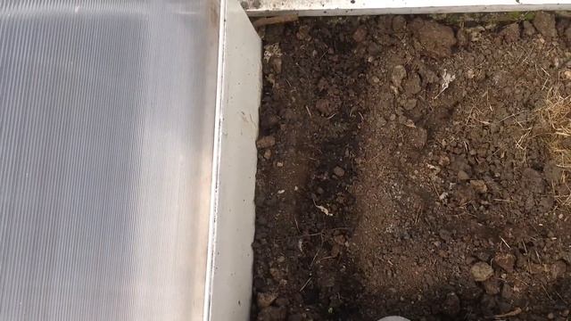 посадка в теплице редиски 19 апреля 2015г смотреть онлайн