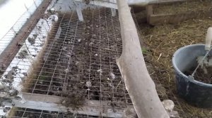 Сетка под насестом, поможет вам при сборе куриного помёта
