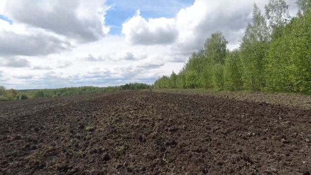 Трактор ХТЗ 17221-09. Дискую с боронами