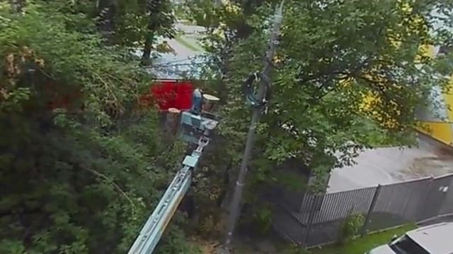 "Удаление сухого дерева в Хамовниках"