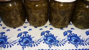 Щавель-Говорим правильно. Варим зеленые щи