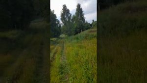 опустевшие деревни Калужской обл. и дома на продажу
