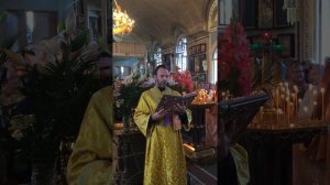 Чтение Апостола в празднование перенесения мощей св. Александра Невского. Читает Ян Осин.