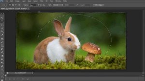 Como cortar una imagen en forma circular en Photoshop CS6