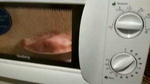 Курица в микроволновке за 15 минут. Рецепты для диеты Дюкана
