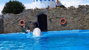 дельфинарий, г. Ейск