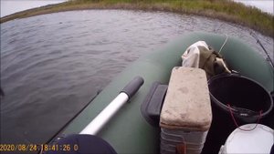 Лучшая приманка для ловли раков .