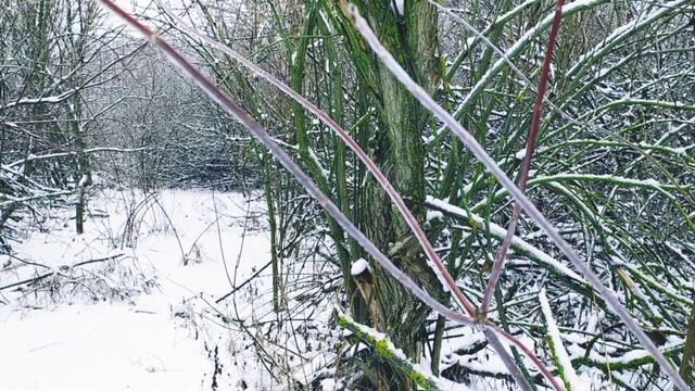 Музыка для сна под звуки дождя,успокаивающая музыка,спокойная музыка для релакса смотреть онлайн