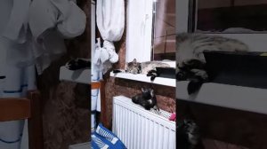 Не дает маме спать