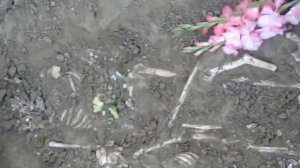 Краснодарский край. Неизвестные захоронения