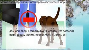 Как отучить собаку метить