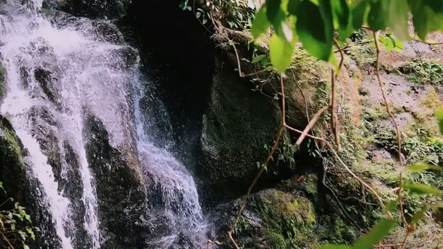 Свекровь постоянно твердила невестке, что её сын ей изменяет. Но, спустя время, она совершила... смотреть онлайн