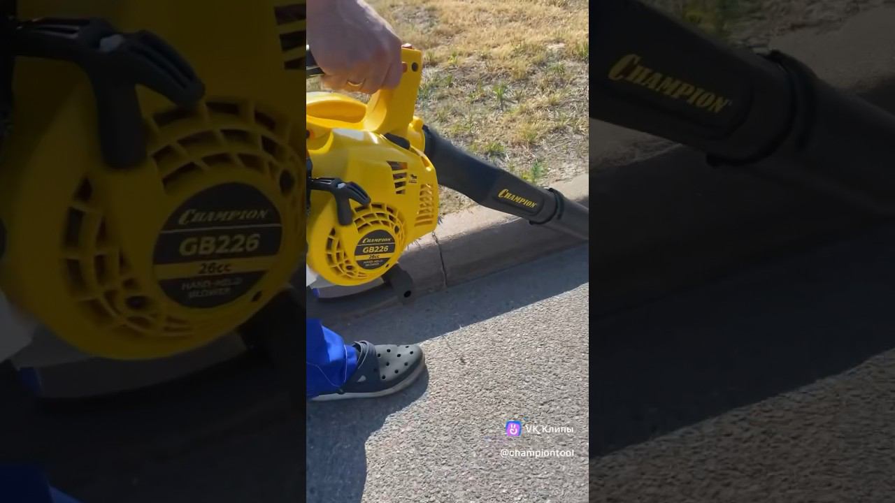 Далеко-далеко улетай… #садоваятехника #champion #diy #садовые #tool #воздуходувка #долойпыль смотреть онлайн