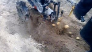 Картофелекопалка"Активный Дельфин"с активным ножом