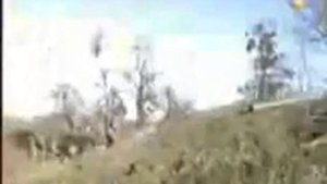 Репортаж с последнего места боя Пермских Омоновцев 29 марта 2000 года в Жани-Ведено