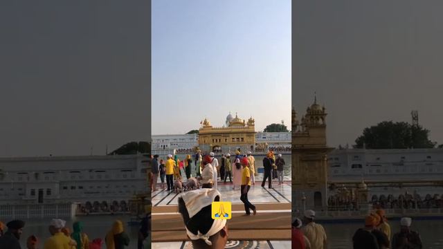 ਦਰਸ਼ਨ ਦੀਦਾਰ ਮੇਰੇ ਸਤਗੁਰ ਦੇ #viralvideos #goldentemple #trending #toptrending