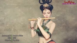 Bamboo Flute • 竹笛 【SoulRelax 0065】 Chinese Instrumental Music • 中國樂器  ▶ [NON STOP]