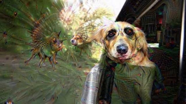 Google Deep Dream Images ~38 min Slideshow (Before & After Photos) смотреть онлайн