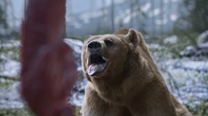 Рекламный ролик Doshirak Медведь