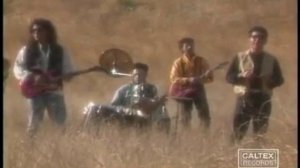 Анди курус