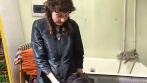 Стрижка чёрный терьер