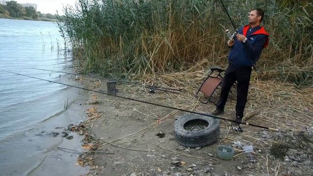 РЫБАЛКА НА  САЗАНА И КРУПНОГО КАРАСЯ В ОКТЯБРЕ !!! Рыбалка на реке МЁРТВЫЙ ДОНЕЦ
