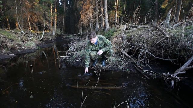 Поход в лес. Подготовка и тест сковороды. Ужин у костра. смотреть онлайн