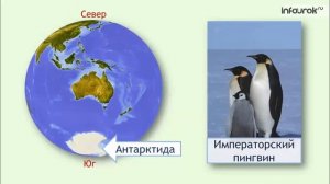 Материки | Окружающий мир 1 класс #37 | Инфоурок