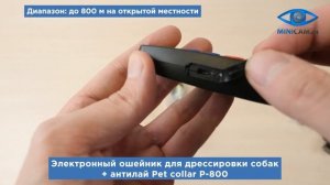 Подробная распаковка электронный ошейник для дрессировки собак + антилай Pet collar P-800