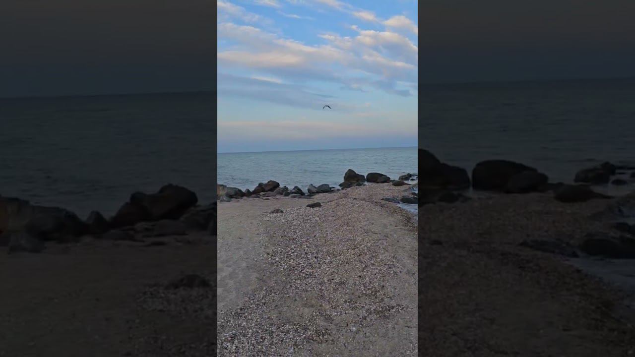 Зарисовка с Азовского моря смотреть онлайн