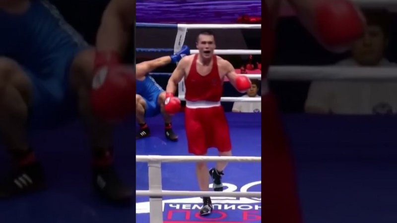 Нокаут! Батырев Андрей (ЦФО) vs Иванов Павел (ЮФО)