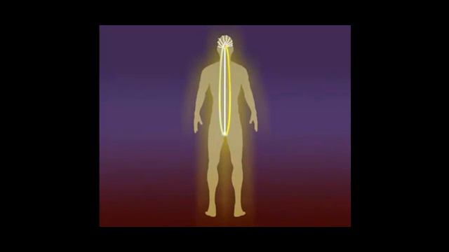 Тонкие тела челвека смотреть онлайн