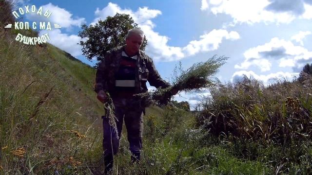 ❌Народное средство от блох | убийца блох | полынь смотреть онлайн