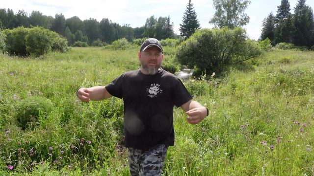 ДОМ НА ДЕРЕВЕ / ЭТО МОЙ ЛЕС смотреть онлайн