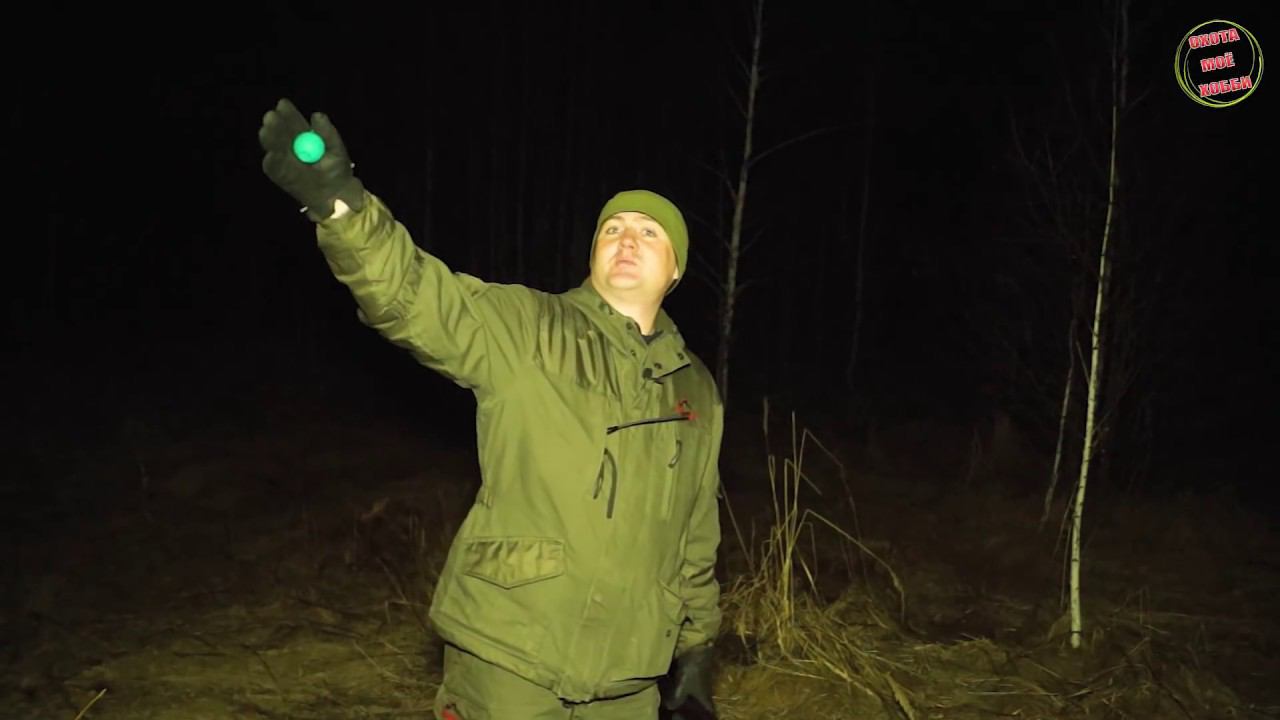 Об охоте на вальдшнепа. Как охотится на него? Охота с манком. смотреть онлайн