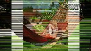 гамак для поезда купить