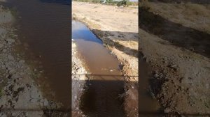 в пересохшее русло пришла вода.