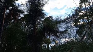 Богато наросло, однако