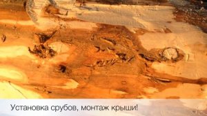Закладные бревна в срубе