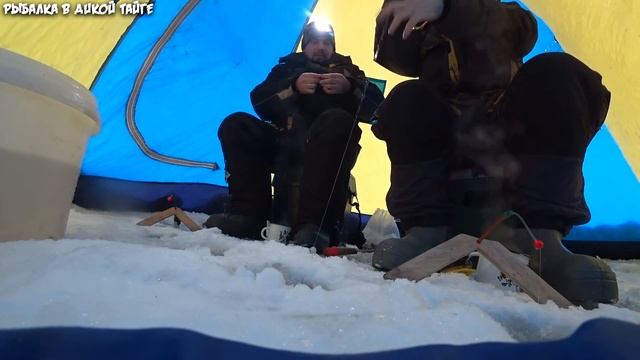 ДЕРЗКИЕ ПОКЛЁВКИ ХАРИУСА И СИГА / КРУПНЫЙ ЖИВЕЦ НА НАЛИМА смотреть онлайн