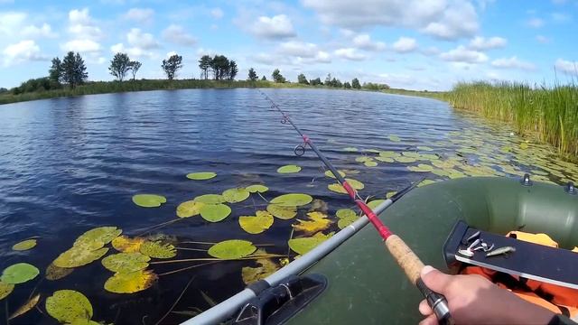 Речка Ржевка Славский район Калининградской обл. Ищем щуку смотреть онлайн