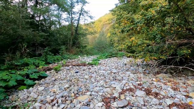 ЛАЗАРЕВСКОЕ СЕГОДНЯ ?СОЧИ. Тайные тропы или просто иду по реке из "Мамедова ущелья". смотреть онлайн