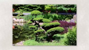 Дизайн и архитектура моего сада. ИЗО. 7 класс