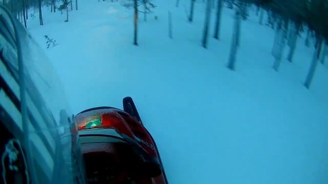 Lynx forest fox смотреть онлайн